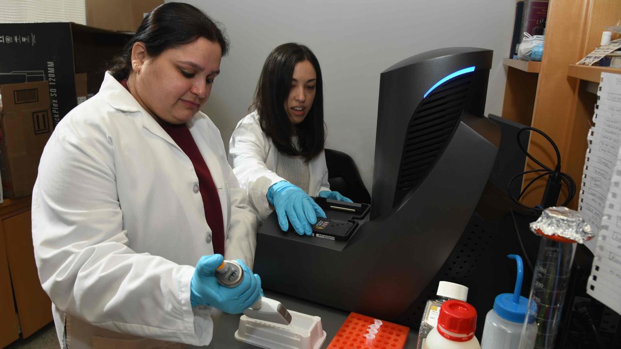 Team members during an experiment